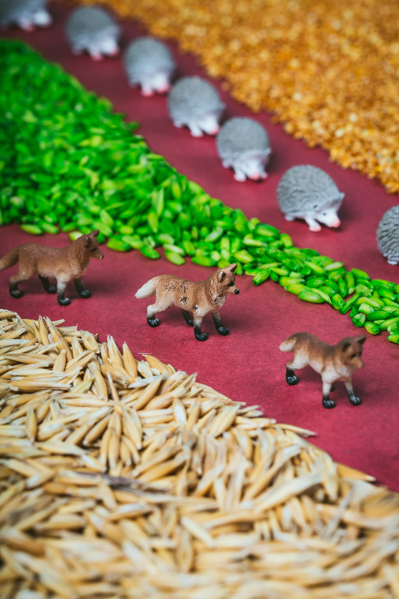 Spy bottle boerderij/huisdieren/fruit/bos