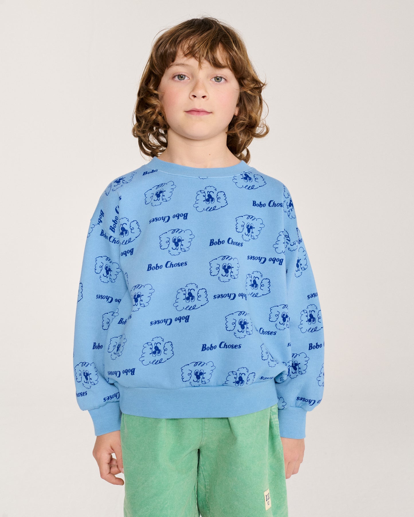 Pickles the dog all over sweatshirt