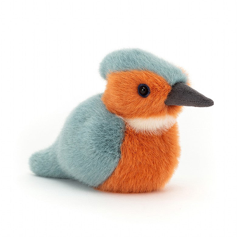 Birdling hummingbird/swallow/kingfisher/blue jay