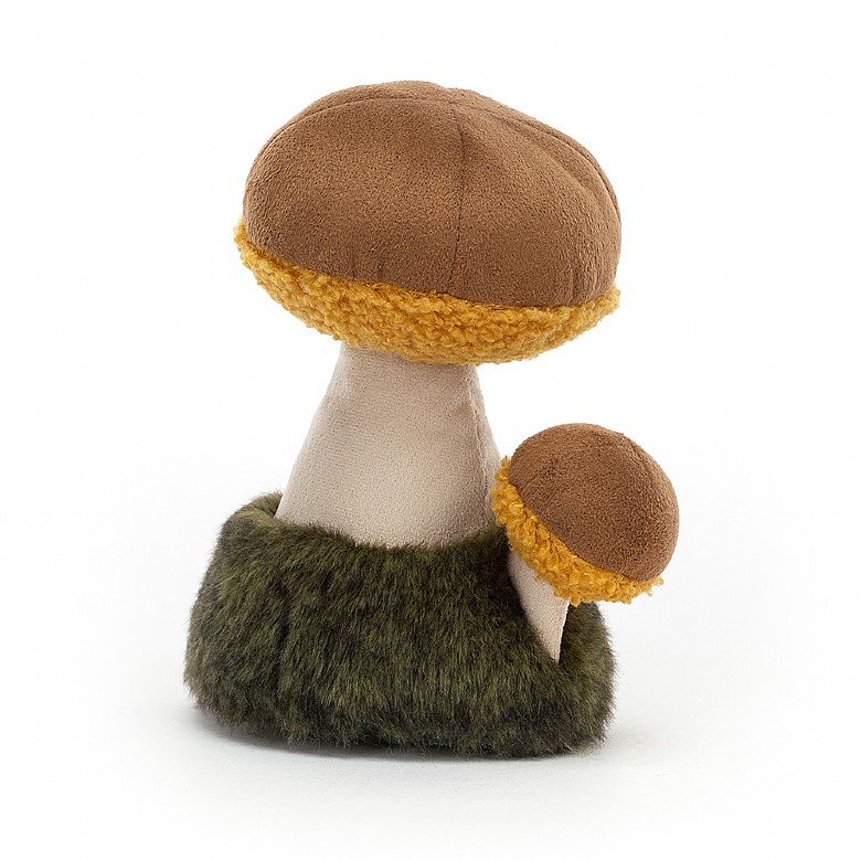 Wild nature chanterelle/boletus mushroom