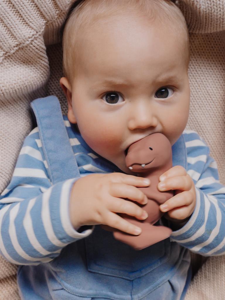 Mijn eerste dinosaurus