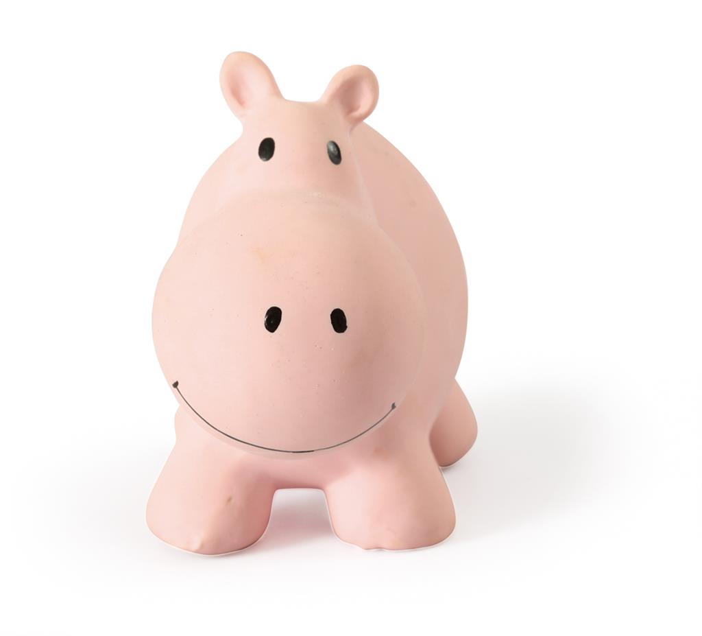 Mijn eerste safaridiertje