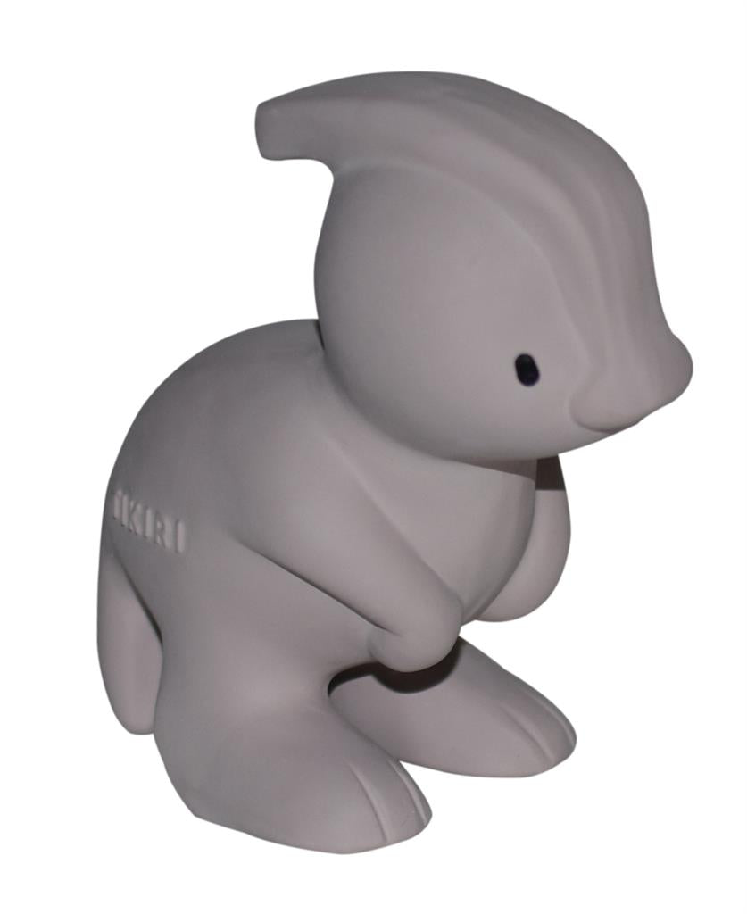 Mijn eerste dinosaurus