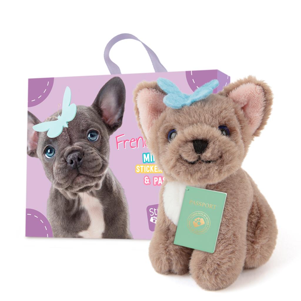 Studio pets mini dogs
