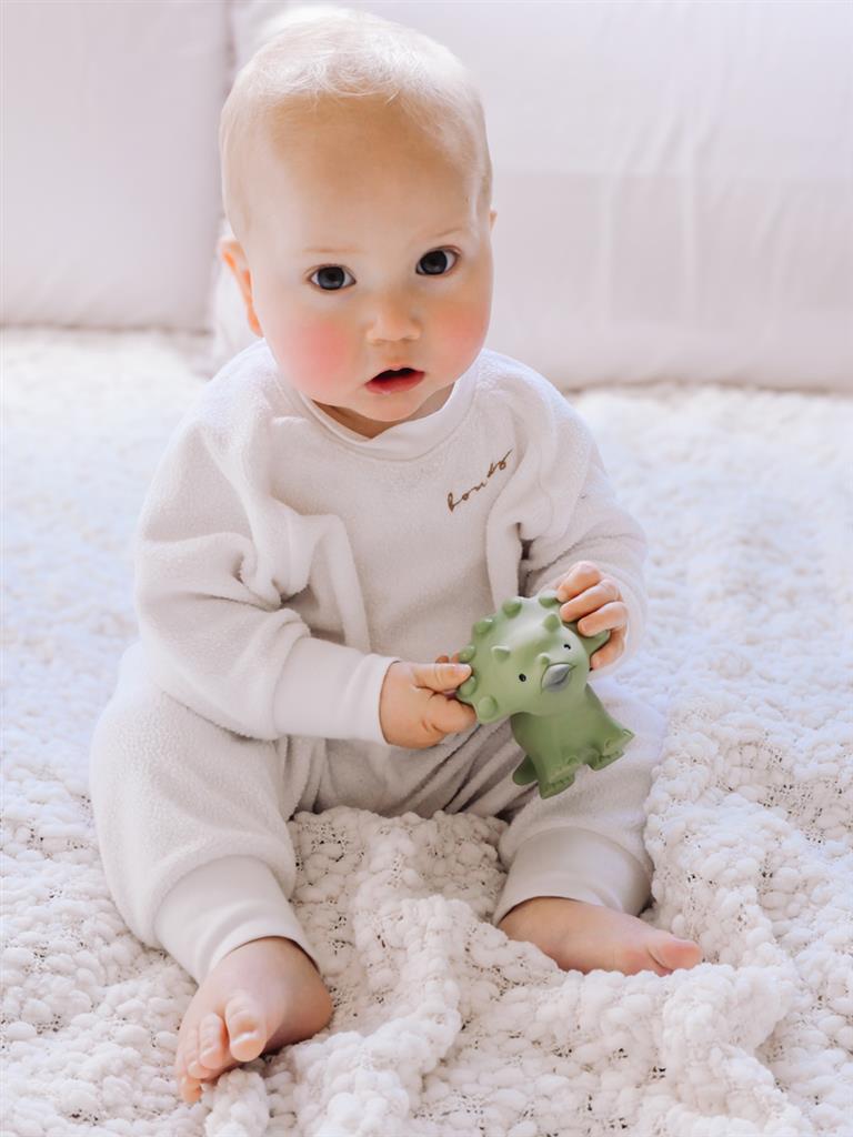 Mijn eerste dinosaurus