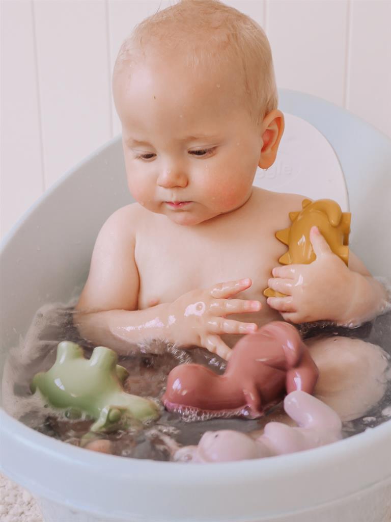 Mijn eerste dinosaurus