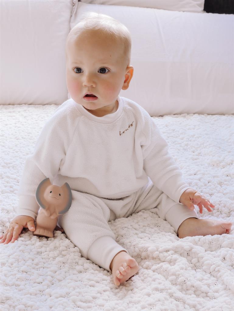 Mijn eerste dinosaurus