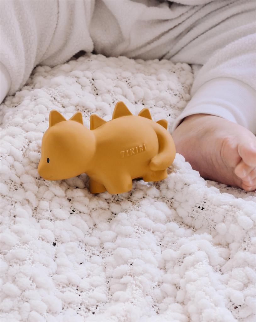 Mijn eerste dinosaurus