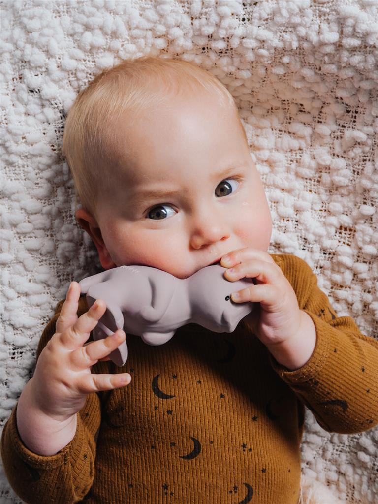 Mijn eerste dinosaurus