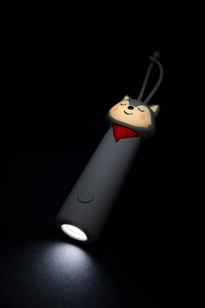 Zaklamp