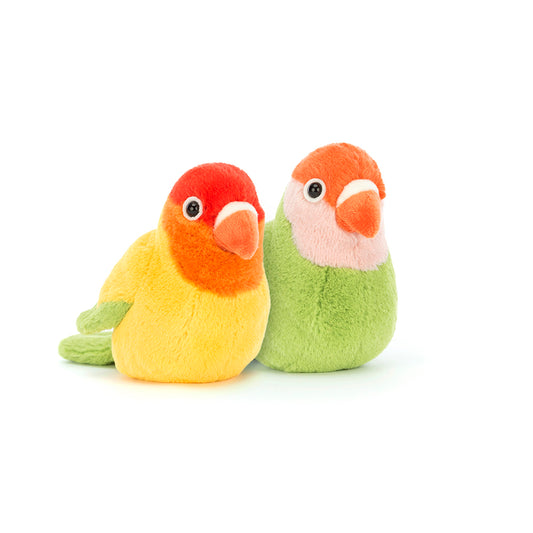 A pair of lovely lovebirds
