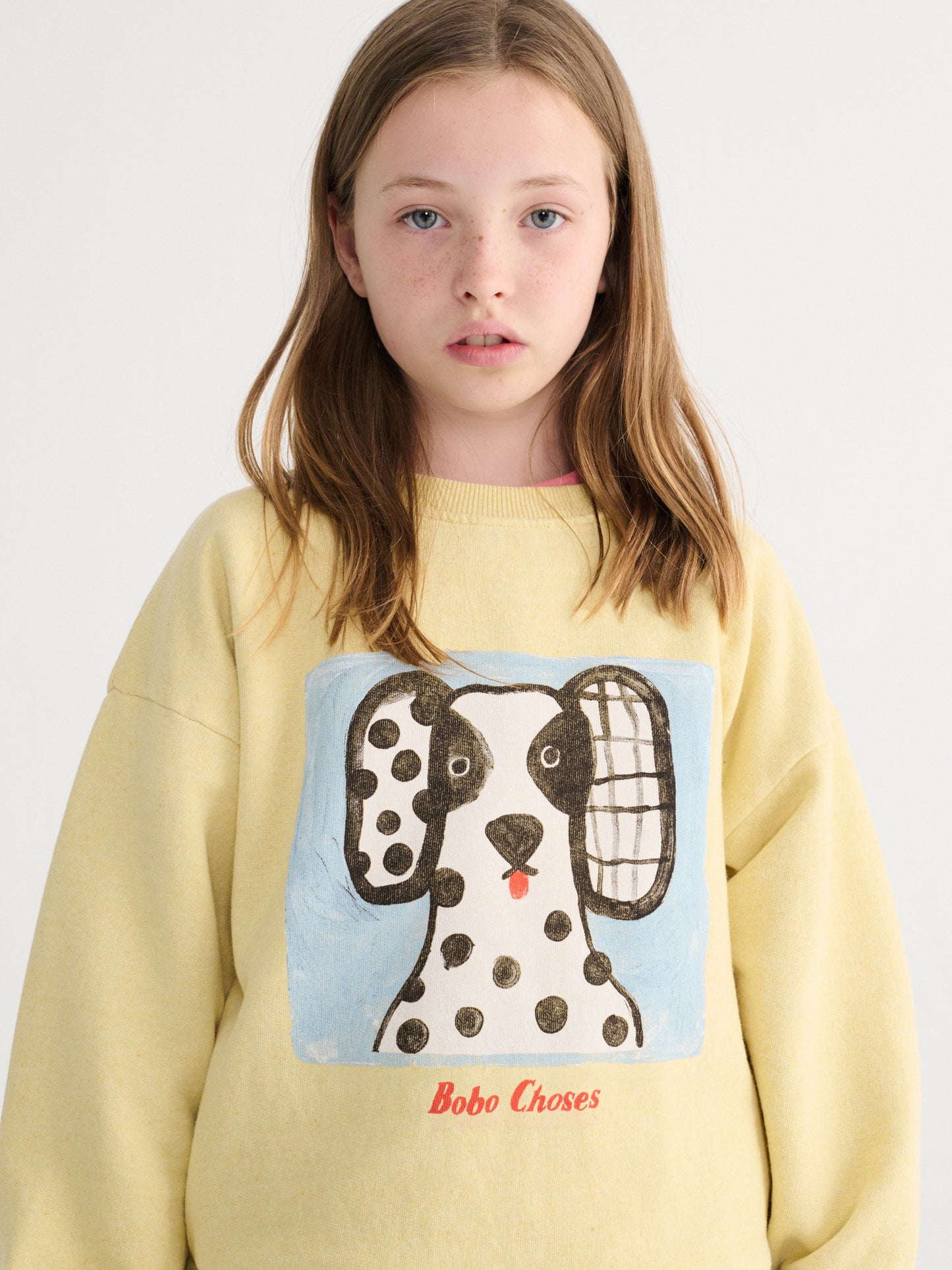 Van dog sweatshirt