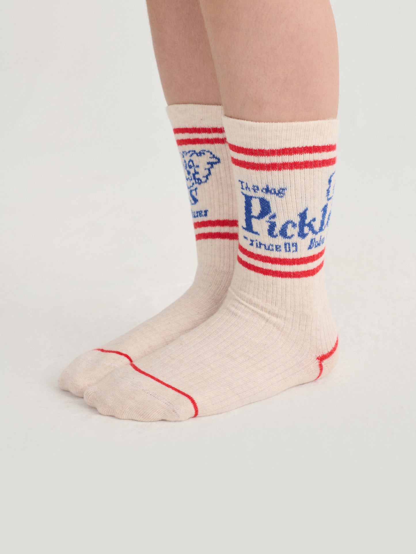 Pickles the dog long socks