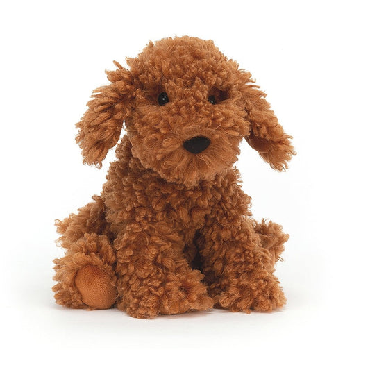 Cooper doodle dog/albert jack russel