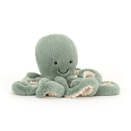 Odyssey octopus