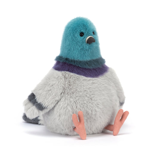 Strutton pigeon