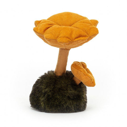 Wild nature chanterelle/boletus mushroom