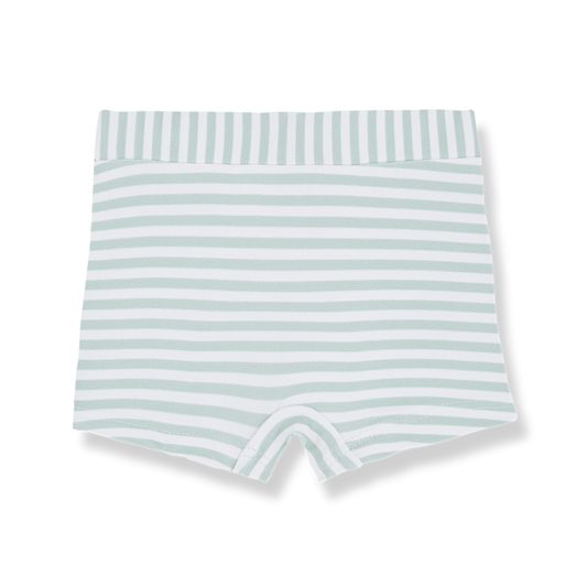 Milo boxer