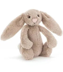 Bashful bunny little
