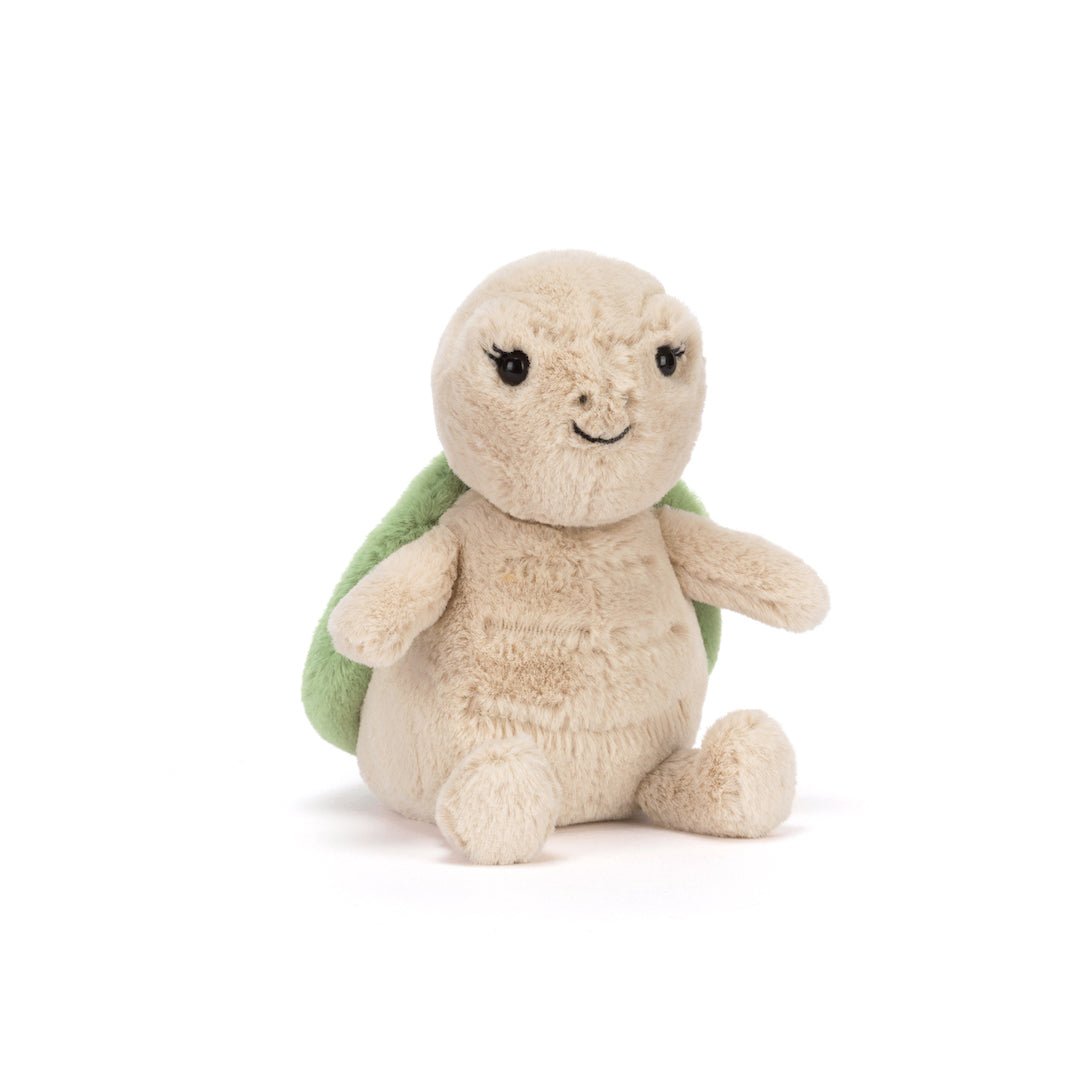 Thimble turtle