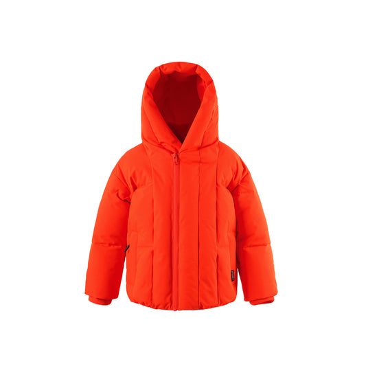Hound dog jacket