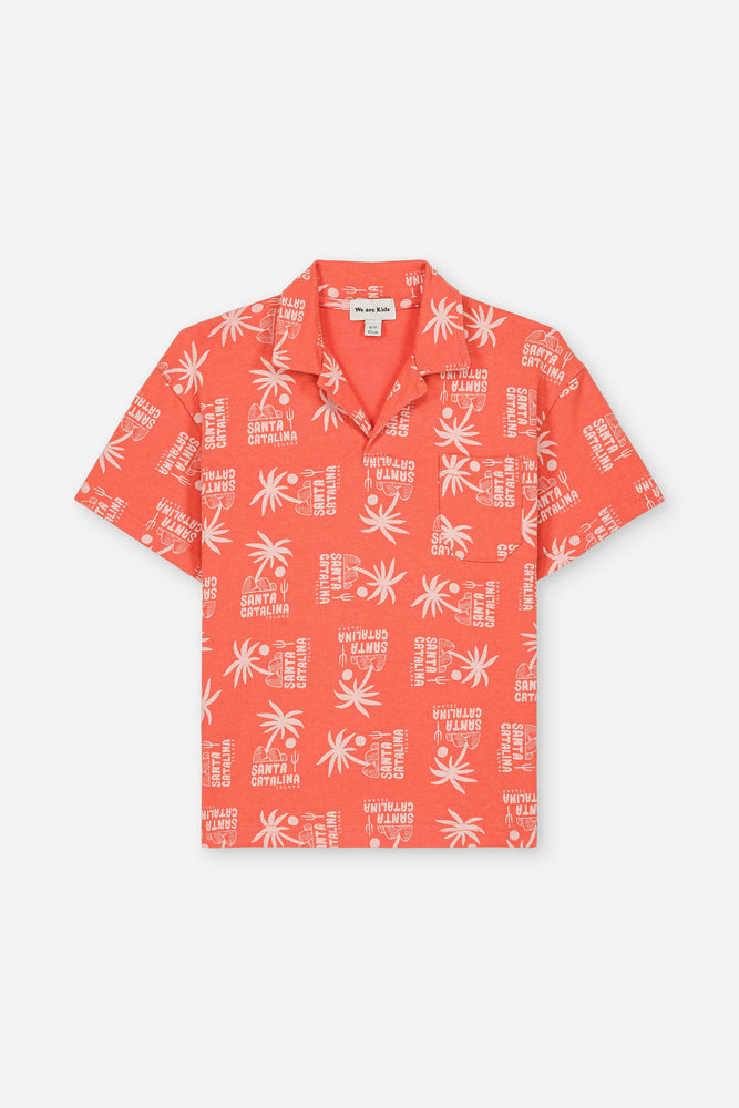 Polo Ryan