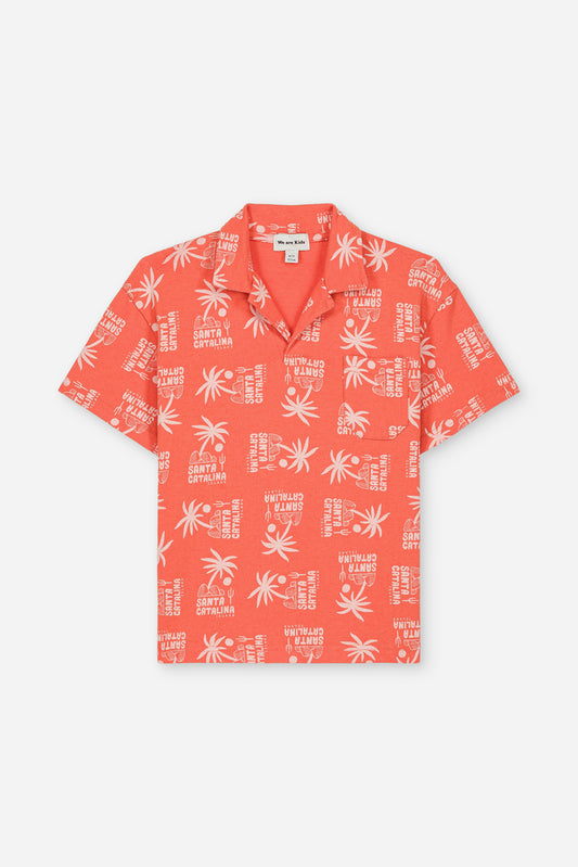 Polo Ryan